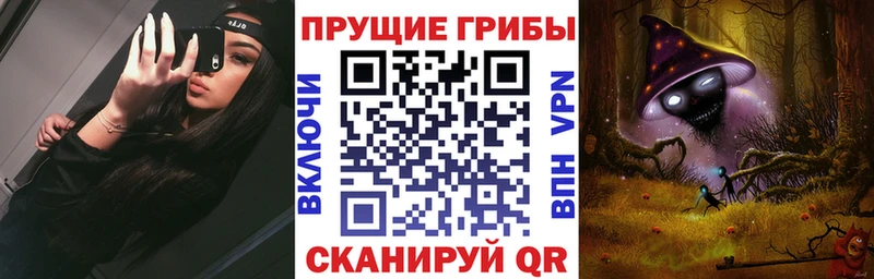 даркнет сайт мориарти формула Псилоцибиновые грибы Psilocybine cubensis Нижнекамск